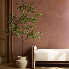 a small tree in a white vase next to a bed with pink walls behind it