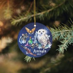 an ornament hanging from a christmas tree with two owls on it's side