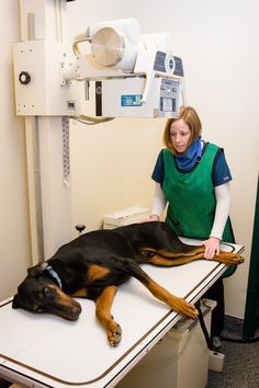 a woman sitting at a table with a dog laying on it's side in front of a machine