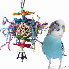 a blue parakeet standing next to a colorful bird toy hanging from a bell