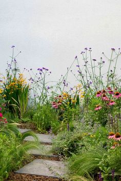 a stone path surrounded by flowers and grass