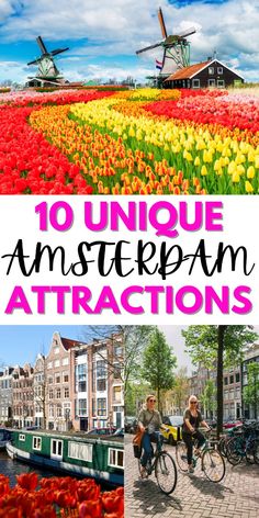 tulips and windmills in holland with text overlay reading 10 unique amsterdam attractions