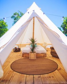 a bed sitting under a white tent on top of a wooden floor next to a potted plant