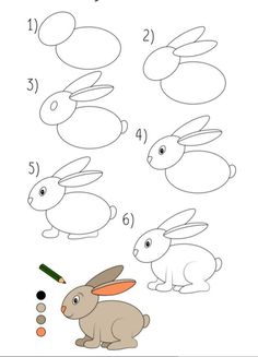 how to draw a cartoon rabbit with easy step by step drawing instructions for kids and beginners