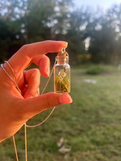 Tiny terrarium necklace with live moss and blue pressed flowers. Available on either a silver or gold 18" inch chain. Tiny Terrarium, Bottle Terrarium, Terrarium Necklace, Pressed Flowers, Terrarium, Jewelry Necklace Pendant, Pendant Necklaces, Stuff To Buy, Jewelry Necklaces