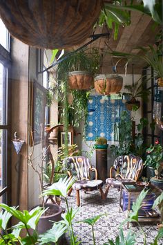 a room filled with lots of plants and furniture