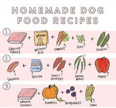 an illustrated diagram showing how to make homemade dog food for dogs and their owner's recipe