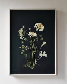 an image of flowers in a frame on the wall