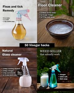 four different types of cleaning products that include vinegar, glass cleaner, and floor cleaner