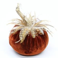 an orange pumpkin with white feathers on it's head and tail, sitting in front of a white background