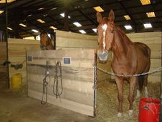 a brown horse standing inside of a barn next to a wooden fence and red bucket