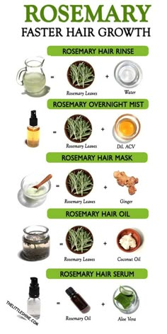 Rosemary Water For Hair Growth, Rosemary Hair Growth, Rosemary Shampoo, Rosemary Hair, Rosemary Water, Homemade Hair Treatments, Herbs For Hair, Healthy Natural Hair Growth, Rosemary Oil For Hair