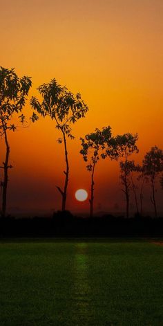 the sun is setting behind some trees in an open field with green grass on both sides