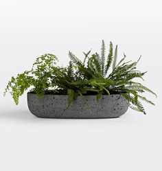 Lang All-Weather Planter Trough Planter Trough, Outdoor Dining Tables, Outdoor Dining Table, Dining Tables, Outdoor Dining, Industrial Style, Perfect Place, Dining Table, Plants