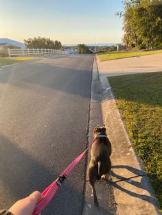 a person walking a dog on a leash down the street