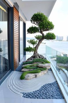 a bonsai tree in the middle of a room