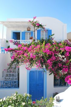 a white house with blue doors and pink flowers