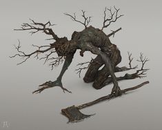 an image of a dead tree with no leaves on the branches and one branch still attached to it