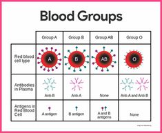 the blood groups are labeled in red and blue