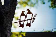 two birds sitting on top of a tree branch