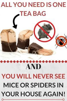 a sign warning people not to eat tea bags and you will never see mice in your house again