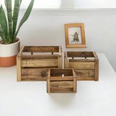 four wooden boxes sitting on top of a white table next to a potted plant