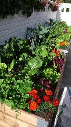 many different types of flowers and plants in a garden bed on the side of a building