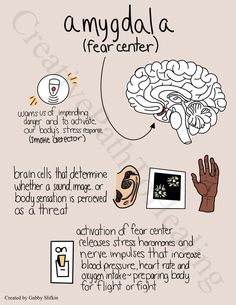 an info sheet describing how to use the human body's brain and its functions