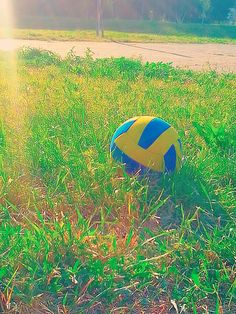 a blue and yellow beach ball sitting in the middle of some green grass near a road