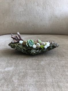 an arrangement of succulents in a bowl on a couch