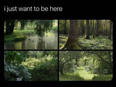 four different pictures of trees and water in the woods with text that reads, i just want to be here