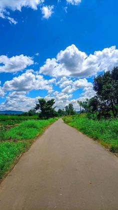 an empty road in the middle of a grassy field under a blue sky with white clouds