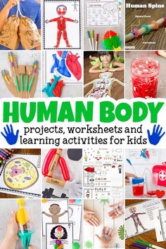 a collage of pictures with the words human body and learning activities for kids to do