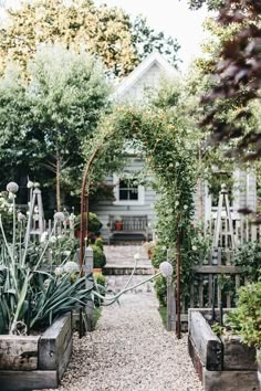 a garden with lots of plants in it