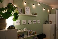 a kitchen with green walls and white refrigerator freezer sitting next to a potted plant