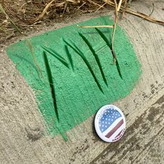 a button that is laying on the ground next to some grass and sticks in it