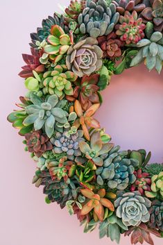 a wreath made out of succulents on a pink background