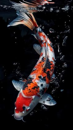 an orange and white koi fish swimming in the water with bubbles on it's surface