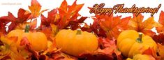 there are many pumpkins and leaves in the fall time scene with happy thanksgiving written on it