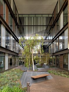 a courtyard with benches and trees in the center, surrounded by glass walls on both sides