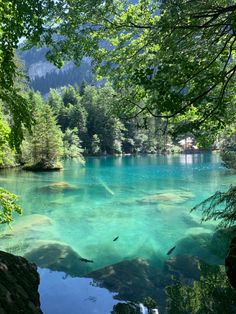 the water is very clear and blue in this area with trees on both sides, surrounded by mountains