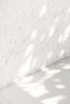 a cat sitting on the floor next to a white wall with shadows coming through it