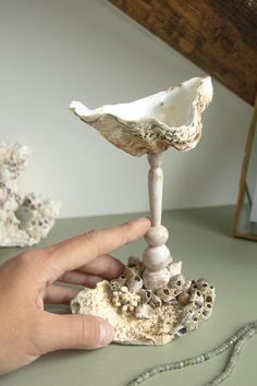 a hand holding a small white shell on top of a table