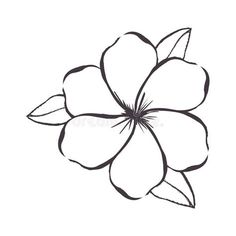 a flower that is drawn in black and white on a white background royalty illustration stock illustration