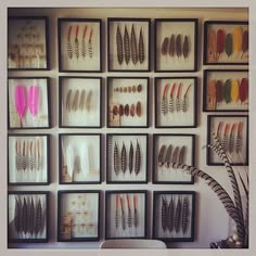 a wall filled with lots of framed feathers next to a vase and potted plant