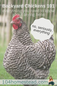 a woman sitting on the ground next to a chicken with a thought bubble above her head