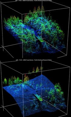 three different views of trees in the night and on top of each other, one is showing