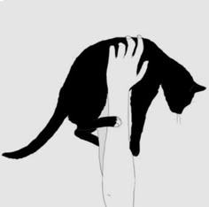 a black and white drawing of a cat on top of a person's arm