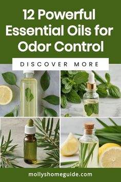 Discover the power of essential oils for odor elimination with these DIY deodorizing pads and eliminator sprays. Learn how to make odor eliminator spray using natural herbs perfect for armpit odor. Say goodbye to unwanted smells by creating your own deodorizing room spray or diffuser blend with odor eliminating essential oils. Find the best essential oil blends for deodorant and explore odor-removing recipes that will freshen up any space effortlessly. How To Make Essential Oils At Home, Odor Eliminator House, Herbalist Remedies, Best Essential Oil Blends, Perfume Oil Recipes, Armpit Odor, Essential Oil Usage, Neroli Essential Oil, Helpful Hacks