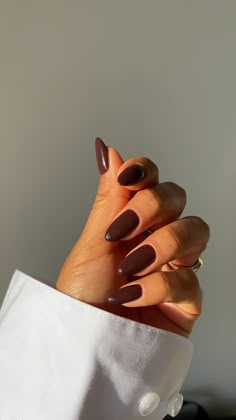 Fall Season Nails Burgundy, Fall Earthy Nails, Autumn Colored Nails, Plum Brown Nails, Chocolate Brown Fall Nails, Fall Festive Nails, Simple Fall Nail Inspo Almond, Fall Brown Nail Colors, Almond Fall Nail Ideas